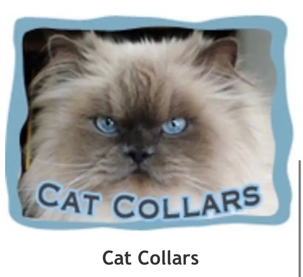 Cat Collars