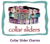 Collar Slider Charms