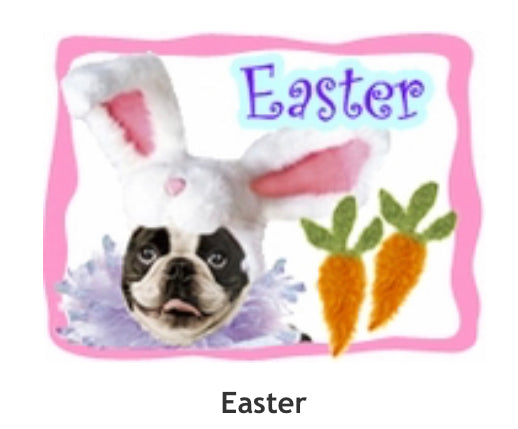 easter,easter dog,easter dog dress,pink dog dress,dog tutu,holiday dog clothes,bunny dog costume,easter dog costume,dog gift,pet gift,pink dog,carrot dog toy,bunny dog toy,bunny dog,pet lovers gift,dog lovers gift,holiday dog,