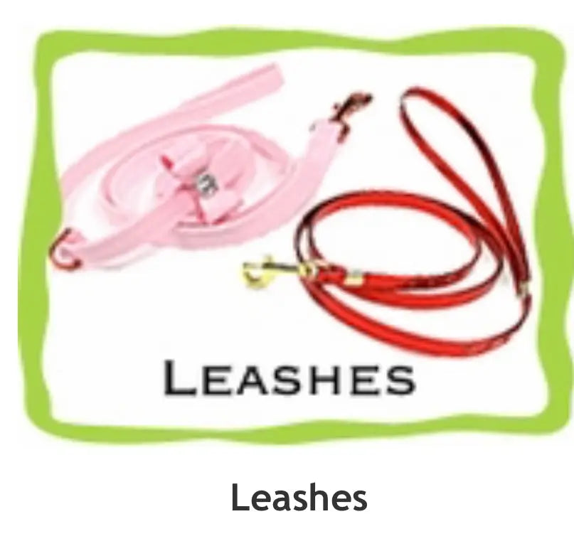 Leashes