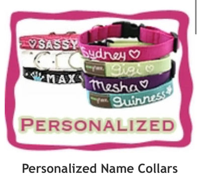 Personalized Name Collars