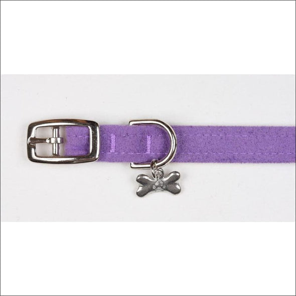 Ultraviolet Collar - Collars