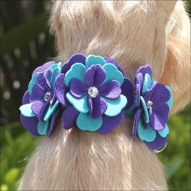 Violet Collar - Collars