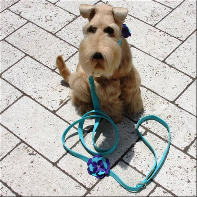 Violet Flower Leash